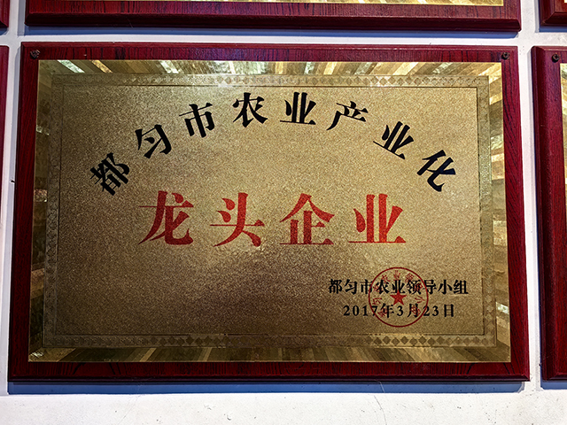 微信图片_20240901211407.jpg