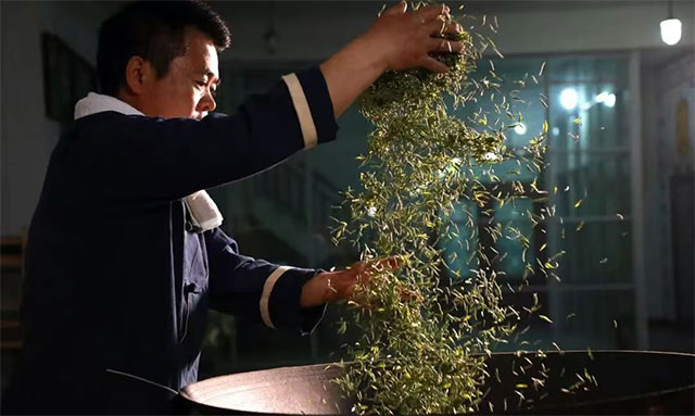 一代茶宗，张子全国家级非物质文化遗产传承人